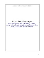 Quy hoach tổng thể phát triển kinh tế xã hội huyện Cô Tô Đến Năm 2020, Tầm Nhìn Đến Năm 2030