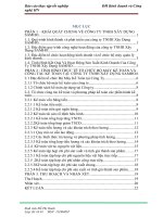 TÌNH HÌNH THỰC tế tổ CHỨC bộ máy kế TOÁN và CÔNG tác kế TOÁN tại  CÔNG TY TNHH xây DỰNG SAMHO 