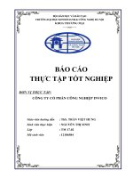 THỰC TRẠNG HOAT ĐỘNG của CÔNG TY cổ PHẦN CÔNG NGHIỆP INVICO 