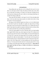 Hoàn thiện kế toán nguyên vật liệu tại công ty cổ phần tư vấn đầu tư và thương mại đông phong 