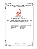 Những tác động của báo mạng điện tử đối với định hướng nghề nghiệp của sinh viên năm cuối 