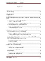 Nghiên cứu dùng kết hợp pha quang bù ảnh hưởng của tán sắc và hiệu ứng phi tuyến trong hệ thống quang tốc độ cao 