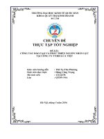 CÔNG tác đào tạo và PHÁT TRIỂN NGUỒN NHÂN lực tại CÔNG TY TNHH lửa VIỆT 