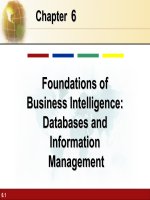 MIS chapter 6 foundations of business intelligence database and information manaegment 