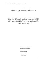 Các chỉ tiêu môi trường phục vụ NSIS và khung GS&ĐG kế hoạch phát triển kinh tế- xã hội