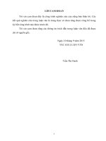 Biện pháp tăng cường công tác thu thuế tiêu thụ đặc biệt tại Chi cục Hải quan Cửa khẩu Cảng Hải Phòng KVI