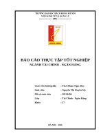 Phân tích các nghiệp vụ kinh doanh chủ yếu của ngân hàng TMCP đầu tư và phát triển việt nam (BIDV)   chi nhánh chương dương 