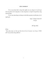 Đánh Giá Được Thực Trạng Đã Đề Ra Và Đưa Ra Các Biện Pháp Nâng Cao Hiệu Quả Khai Thác Đội Tàu Container Của Bisco