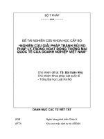 Nghiên Cứu Giải Pháp Tránh Rủi Ro Pháp Lý Trong Hoạt Động Thương Mại Quốc Tế Của Doanh Nghiệp Việt Nam