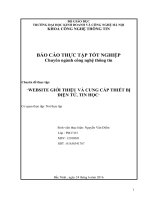 WEBSITE GIỚI THIỆU và CUNG cấp THIẾT bị điện tử, TIN học 
