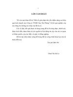 Một số giải pháp chủ yếu nhằm nâng cao hiệu quả kinh doanh của Công ty TNHH Sao Việt Hải Phòng