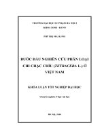 Bước đầu nghiên cứu phân loại chi chặc chìu (tetracera l ) ở việt nam 