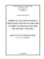 Nghiên cứu đặc điểm tái sinh tự nhiên dưới tán rừng nứa phục hồi tự nhiên tại trạm đa dạng sinh học mê linh   vĩnh phúc 