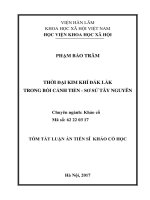 Thời đại kim khí đắk lắk trong bối cảnh tiền   sơ sử tây nguyên tt 