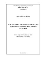 Bước đầu nghiên cứu phân loại chi lõa châu (gymnosporia (wight  arn ) benth   hook f ) ở việt nam 