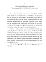 TÀI LIỆU THAM KHẢO   CÔNG NGHIỆP HÓA HIỆN đại HÓA NÔNG NGHIỆP NÔNG THÔN ở nước TA HIỆN NAY