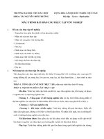 Mẫu Báo cáo thực tập