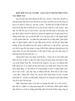 TÀI LIỆU THAM KHẢO   đề TÀI BIẾN đổi cơ cấu XÃ hội   GIAI cấp ở THÀNH PHỐ VŨNG TÀU HIỆN NAY