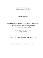 ĐỊNH DANH CÁC bộ PHẬN CỦA đồ vật  BẰNG CÁC từ NGỮ THUỘC TRƯỜNG NGHĨA CHỈ bộ PHẬN cơ THỂ NGƯỜI 