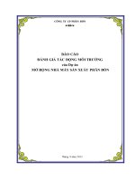 Báo cáo đánh giá ĐTM của dự án mở rộng nhà máy sản xuất phân bón