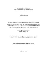 NGHIÊN cứu KHẢ NĂNG SINH TRƯỞNG, một số đặc điểm GIẢI PHẪU, SINH lí của LOÀI vẹt HAIESII (bruguiera hainesii rog )  và vẹt dù (bruguiera gymnorrhiza (lour ) poir )  TRỒNG THÍ NGHIỆM tại xã GIAO lạc, HUYỆN GIAO THUỶ, TỈNH NAM ĐỊNH