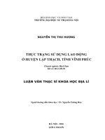 THỰC TRẠNG sử DỤNG LAO ĐỘNG ở HUYỆN lập THẠCH, TỈNH VĨNH PHÚC 