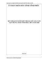 Quy Hoạch Cơ Sở Giết Mổ Gia Súc Gia Cầm Tập Trung Tỉnh Vĩnh Phúc Đến Năm 2020