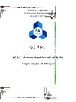 Nhận dạng bảng chữ cái ngôn ngữ ký hiệu