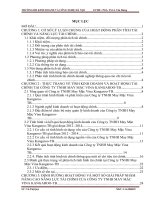 Phân tích tình hình tài chính và các giải pháp nhằm nâng cao năng lực tài chính tại công ty TNHH may mặc vina kangaroo TB 