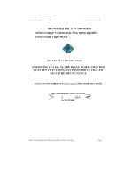 Ảnh hưởng của gia vị, chế độ sấy và hóa chất bảo quản đến chất lượng sản phẩm khô cá tra tẩm gia vị chế biến từ vụn cá