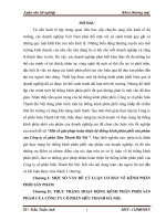 Một số giải pháp hoàn thiện hệ thống kênh phân phối sản phẩm của công ty cổ phần siêu thanh hà nội 