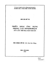 Triển khai ứng dụng phong lan dendrobium từ cấy mô ra sản xuất 