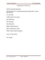 Giải pháp nâng cao hiệu quả  huy động vốn tại NHTMCP đầu tư  và phát triển việt nam  chi nhánh quang trung  hà nội 