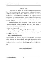 Tình hình tổ chức bộ máy và công tác kế toán tại công ty cổ phần biolitec việt nam 