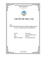 Hoàn thiện kế hoạch truyền thông marketing cho công ty cổ phần dược thảo thiên phúc 