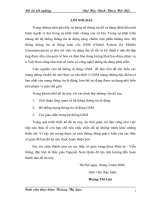 nghiên cứu hệ thống di động GSM 