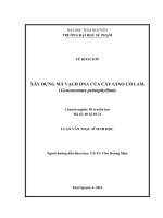 Xây dựng mã vạch DNA của cây giảo cổ lam (gynostemma pentaphyllum)