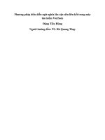 Phương pháp biểu diễn ngữ nghĩa lân cận siêu liên kết trong máy tìm kiếm VietSeek