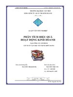 Phân tích hiệu quả hoạt động kinh doanh tại công ty cổ phần sản xuất vật liệu xây dựng Kiên Giang