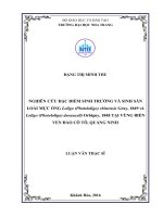 Nghiên cứu đặc điểm sinh trưởng và sinh sản loài mực ống loligo (photololigo) chinensis gray, 1849 và loligo (photololigo) duvaucelii orbigny, 1848 tại vùng biển ven đảo cô tô, quảng ninh 