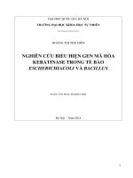 NGHIÊN CỨU BIỂU HIỆN GEN MÃ HÓA KERATINASE TRONG TẾ BÀO ESCHERICHIACOLI VÀ BACILLUS_merged