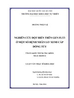NGHIÊN CỨU ĐỘT BIẾN TRÊN GEN FLT3 Ở MỘT SỐ BỆNH NHÂN LƠ XEMI CẤP DÒNG TỦY