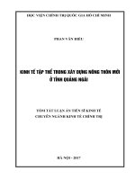 Kinh tế tập thể trong xây dựng nông thôn mới ở tỉnh Quảng Ngãi (1)