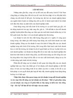 Một số giải pháp nâng cao lợi nhuận của công ty cổ phần đầu tư xây dựng và kiến trúc sức sống việt – hà nội 