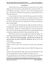 Phân tích tài chính doanh nghiệp – giải pháp nâng cao hiệu quả sản xuất kinh doanh của công ty TNHH MTV khoáng sản lào cai 