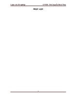 Giải pháp phòng ngừa và hạn chế rủi ro cho vay tại ngân hàng TMCP tiên phong  trụ sở chính tại hà nội 