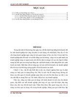 Giải pháp nâng cao hiệu quả sử dụng vốn lưu động tại công ty cổ phần dịch vụ thương mại xuất nhập khẩu nam anh 