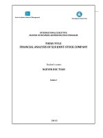 Financial analysis of x20 joint stock company 