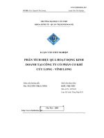 Phân tích hiệu quả hoạt động kinh doanh tại công ty cổ phần cơ khí Cửu Long, Vĩnh Long