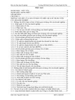 NÂNG CAO HIỆU QUẢ sử DỤNG vốn của CÔNG TY cổ PHẦN MINH ANH 